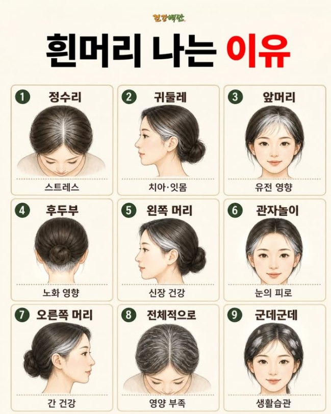 스크린샷 2026-07-22 155847